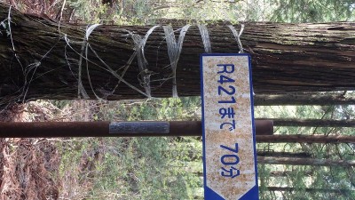 P5080010.jpg (205.99 KiB) 閲覧された回数 2610 回 引き返すならこの辺りで…