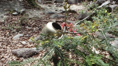 P5080019.jpg (270.74 KiB) 閲覧された回数 2615 回 おなじみのヤカン