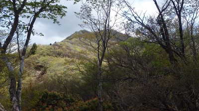 P5080040.jpg (208.83 KiB) 閲覧された回数 2614 回 釈迦ヶ岳山頂はすぐそこに