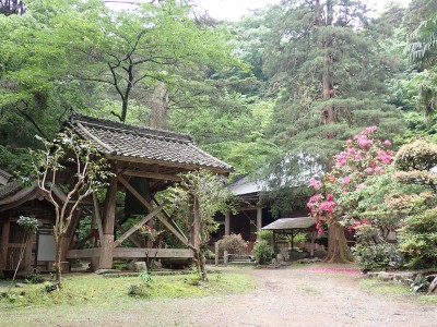横滝寺