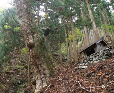 千秋社山ノ神