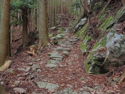 P6070043.JPG (250.62 KiB) 閲覧された回数 2460 回 石畳道