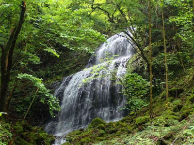 P6120057.jpg (144.29 KiB) 閲覧された回数 3486 回 地獄谷 下の大滝