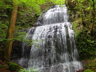 P6120064.jpg (123.97 KiB) 閲覧された回数 2930 回 地獄谷 下の大滝