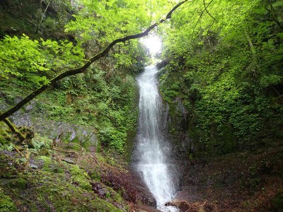 P6120086.jpg (139.85 KiB) 閲覧された回数 2930 回 地獄谷 上の大滝