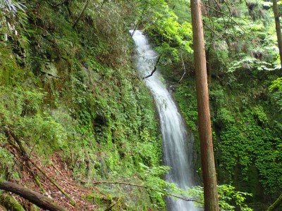 P6120104.jpg (149.24 KiB) 閲覧された回数 2926 回 地獄谷 上の大滝