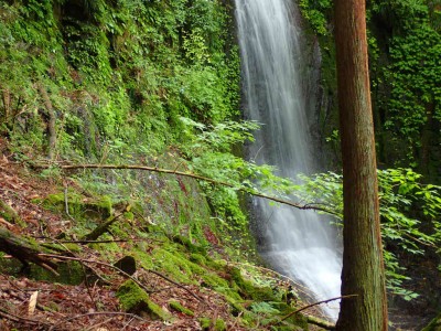 P6120109.jpg (141.5 KiB) 閲覧された回数 2930 回 地獄谷 上の大滝
