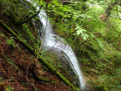 P6120122.jpg (150.75 KiB) 閲覧された回数 3486 回 地獄谷 下の大滝