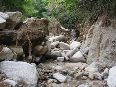 rindo.JPG (386.92 KiB) 閲覧された回数 12378 回 エグれた」林道