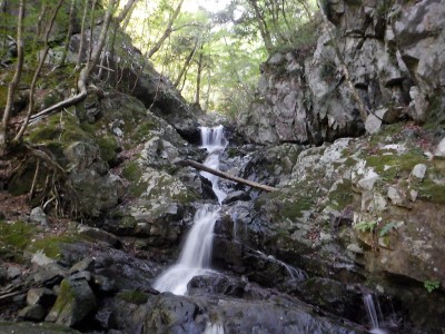 3年前ノコギリを入れた流木。