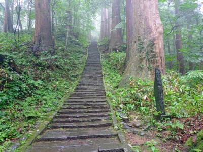 2025-06-23_12-19-26~2.jpg (336.44 KiB) 閲覧された回数 2314 回 2446段の石畳と杉並木