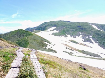 2025-06-25_09-06-31~2.jpg (253.03 KiB) 閲覧された回数 2314 回 稜線から月山を望む