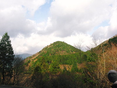 ●可愛い小山の小高円山、あそこに登ろう