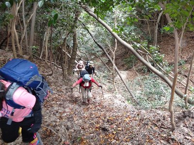 鞍部への道は谷芯をはずしながら
