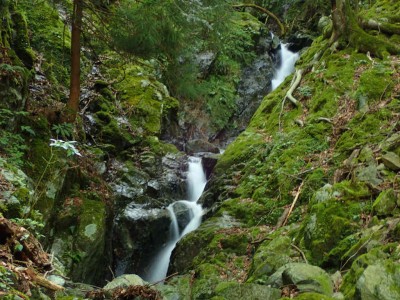 P7240015.jpg (108.17 KiB) 閲覧された回数 1839 回 第一連瀑帯下部