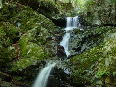 P7240034.jpg (100.78 KiB) 閲覧された回数 1596 回 第一連瀑帯上部
