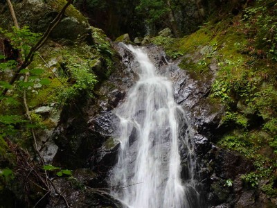 P7240074.jpg (105.74 KiB) 閲覧された回数 1839 回 8m滝