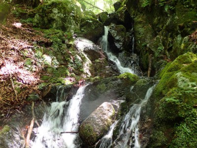 P7240120.jpg (128 KiB) 閲覧された回数 1840 回 上部の蓮瀑帯1