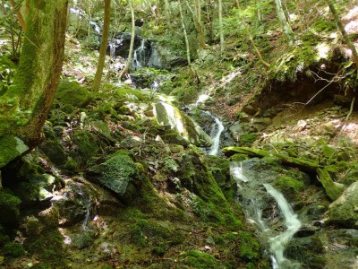 P7240138.jpg (138.2 KiB) 閲覧された回数 1839 回 上部の蓮瀑帯2