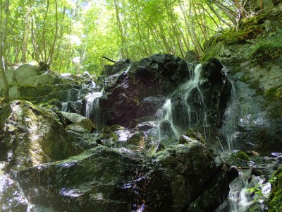 P7240159.jpg (126.53 KiB) 閲覧された回数 1840 回 最上部の滝