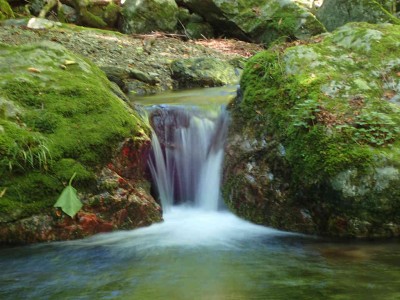 P7300035.jpg (78.64 KiB) 閲覧された回数 4157 回 地蔵谷