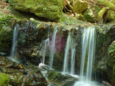 P7300052.jpg (114.58 KiB) 閲覧された回数 4157 回 地蔵谷