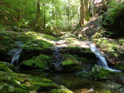 P7300043.jpg (122.38 KiB) 閲覧された回数 4472 回 地蔵谷