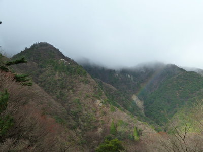 虹がかかった!!