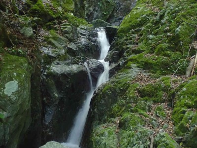 P8060029.jpg (91.98 KiB) 閲覧された回数 6915 回 第一連瀑帯