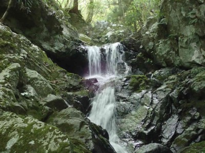 P8060048.jpg (85.31 KiB) 閲覧された回数 6919 回 第一連瀑帯