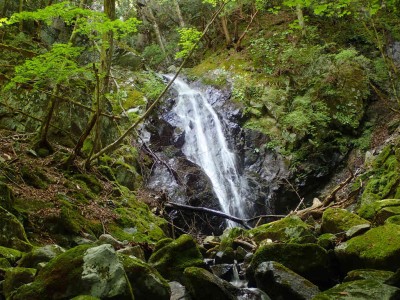 P8060073.jpg (132.44 KiB) 閲覧された回数 7264 回 8m滝