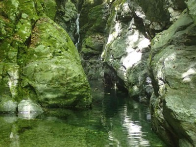 P8210128.jpg (89.16 KiB) 閲覧された回数 19380 回 木梶ゴルジュ