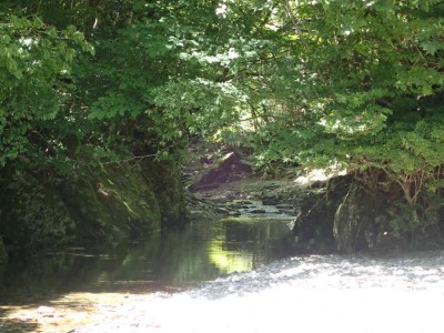 P8210184.jpg (85.52 KiB) 閲覧された回数 19380 回 廃林道付近の癒しの渓相