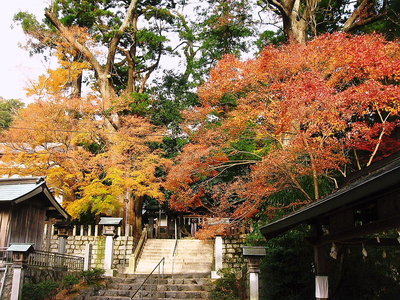 ● 若宮神社、１６歳のとき石の鳥居の下で寝てて宮司さんに泊めて貰った想い出の神社だ