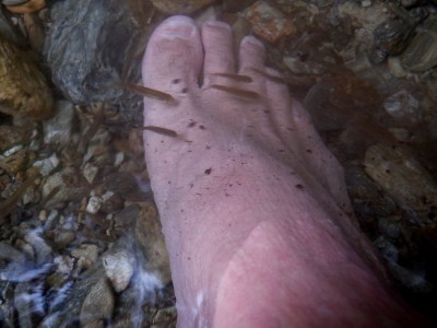 木梶川ドクターフィッシュ