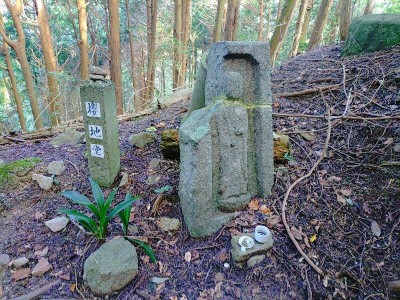 2025-09-16_08-08-57~2.jpg (245.93 KiB) 閲覧された回数 18449 回 櫻地堂