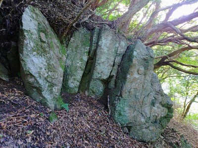 2025-09-16_08-43-32~2.jpg (222.02 KiB) 閲覧された回数 18449 回 さいの河原地堂