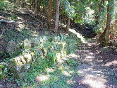 2025-09-16_11-37-31~2.jpg (268.39 KiB) 閲覧された回数 18449 回 参道入口直ぐの石仏群