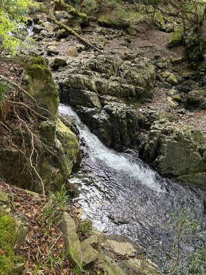 熊遭遇場所の先の渕
