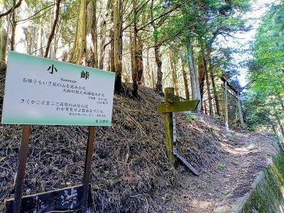 2025-10-23_12-51-58~2.jpg (270.96 KiB) 閲覧された回数 1495 回 小峠(伊勢南街道?)