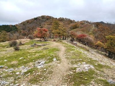 桧塚への稜線s.jpg