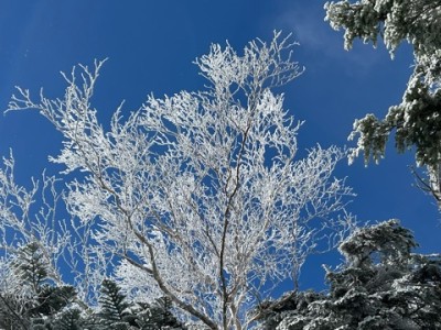 IMG_6767.jpeg (107.38 KiB) 閲覧された回数 1033 回 綺麗な霧氷