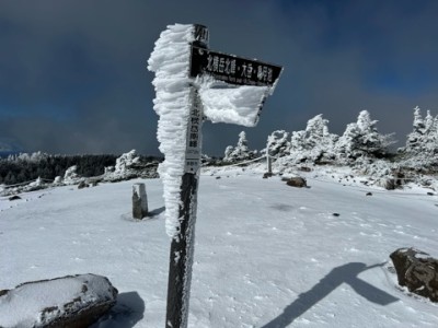 IMG_6768.jpeg (61.74 KiB) 閲覧された回数 1608 回 立派なエビのしっぽ