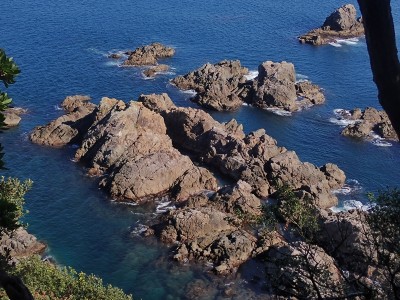定ノ鼻の岩礁