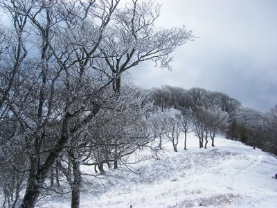 2.jpg (270.2 KiB) 閲覧された回数 12142 回 尾根の光景