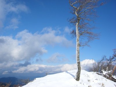 3.jpg (132.56 KiB) 閲覧された回数 12176 回 時折顔を覗かせた晴れ間