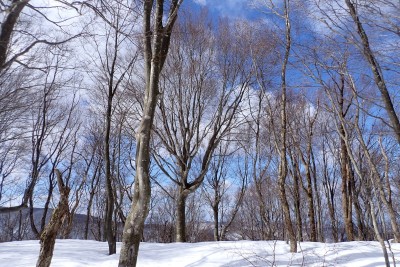 雪の船ヶ洞山頂