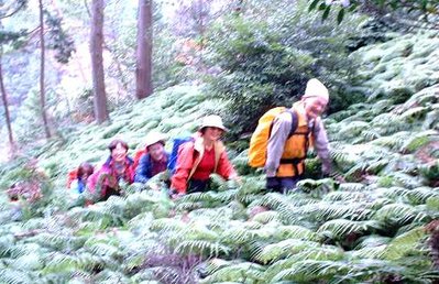 ウラジロの海.jpg (46.24 KiB) 閲覧された回数 3619 回 ● ウラジロの海を行く加藤先生