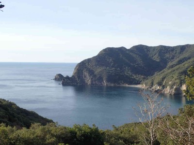 PC100009.jpg (57.38 KiB) 閲覧された回数 1052 回 網代浜