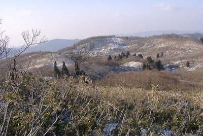 ● 昔のイク．チョ、ササは元気ココ開拓でした。